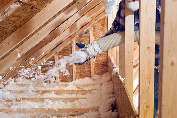 Best Batt and Roll Insulation  in Mila Doce, TX